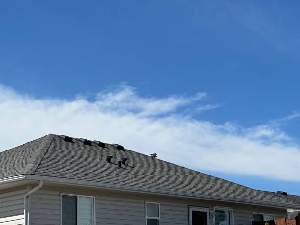 Best Green or Eco-Friendly Roofing Solutions  in New Boston, TX